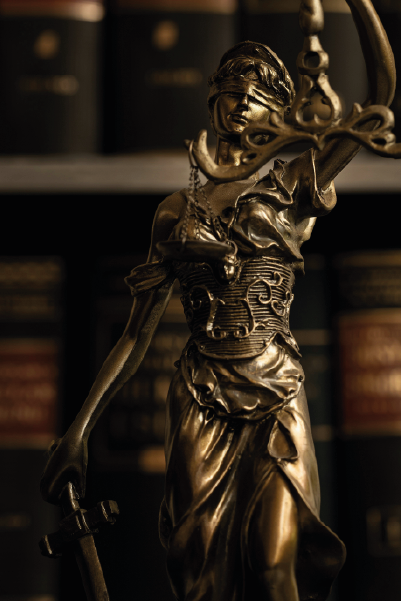 Legal Roots - Equipo
