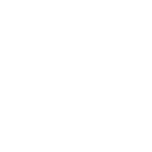 Inventario y Partición de Bienes
