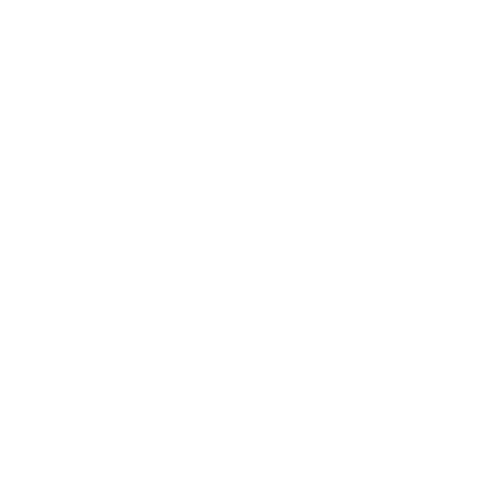 Procesos y Garantías Constitucionales